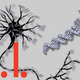Illustration for article titled Artificial Intelligence Created Using Human DNA